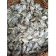 කාරල්ලා කරවල 100g | Karalla dried fish 100g